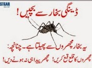 Dengue Prevention Campaign